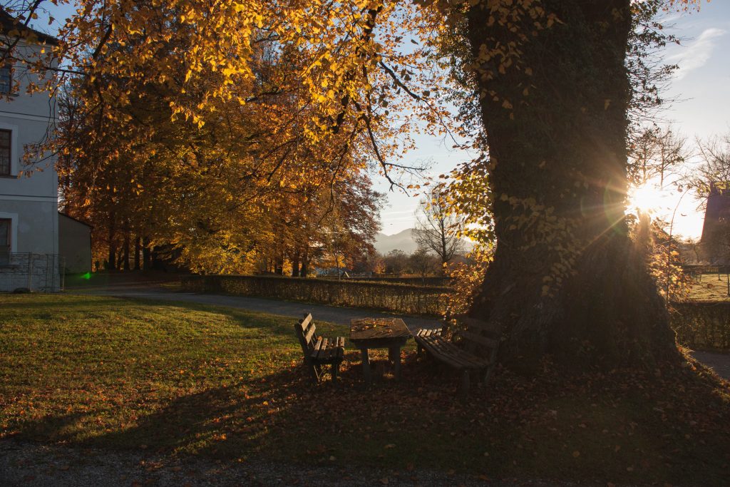 Lumière d'automne, Chiemsee, Bavière, Allemagne