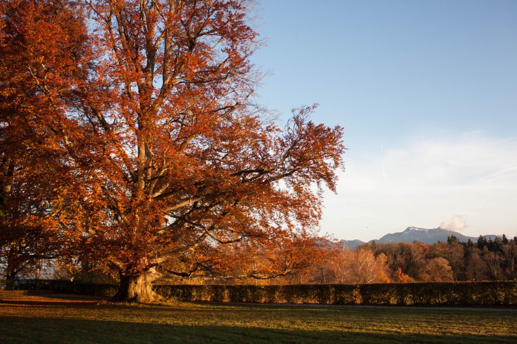 Chiemsee, Bavière, Allemagne