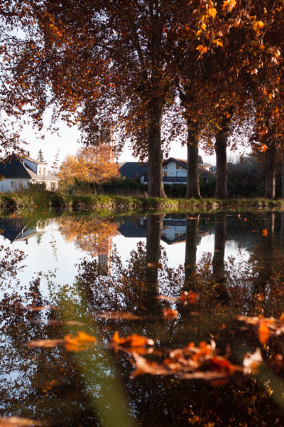 Dis-moi Lina - Automne - feuilles