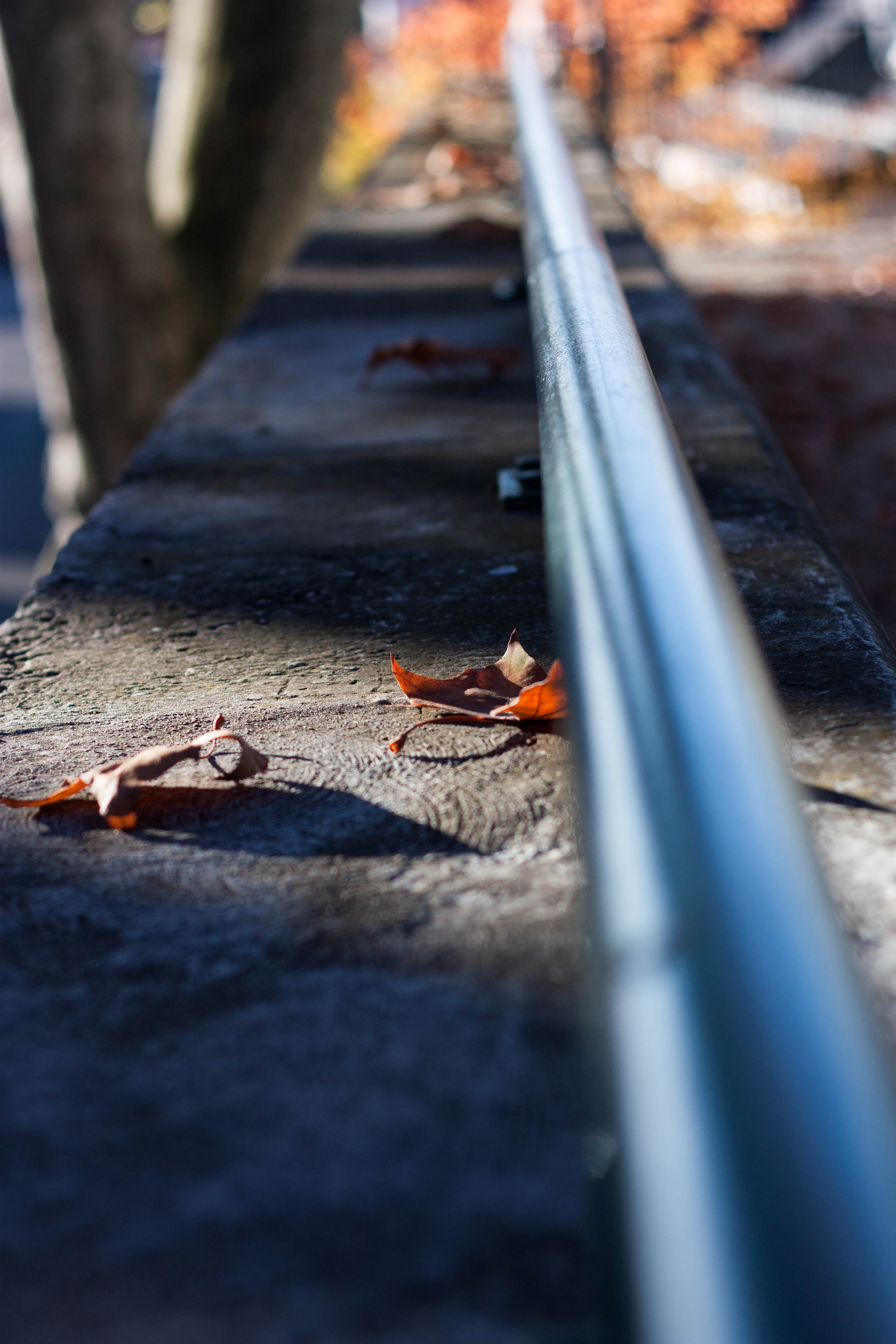 Dis-moi Lina - Automne - feuilles